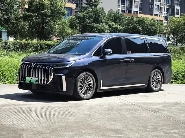 Voyah Auto Voyah Dreamer 2024