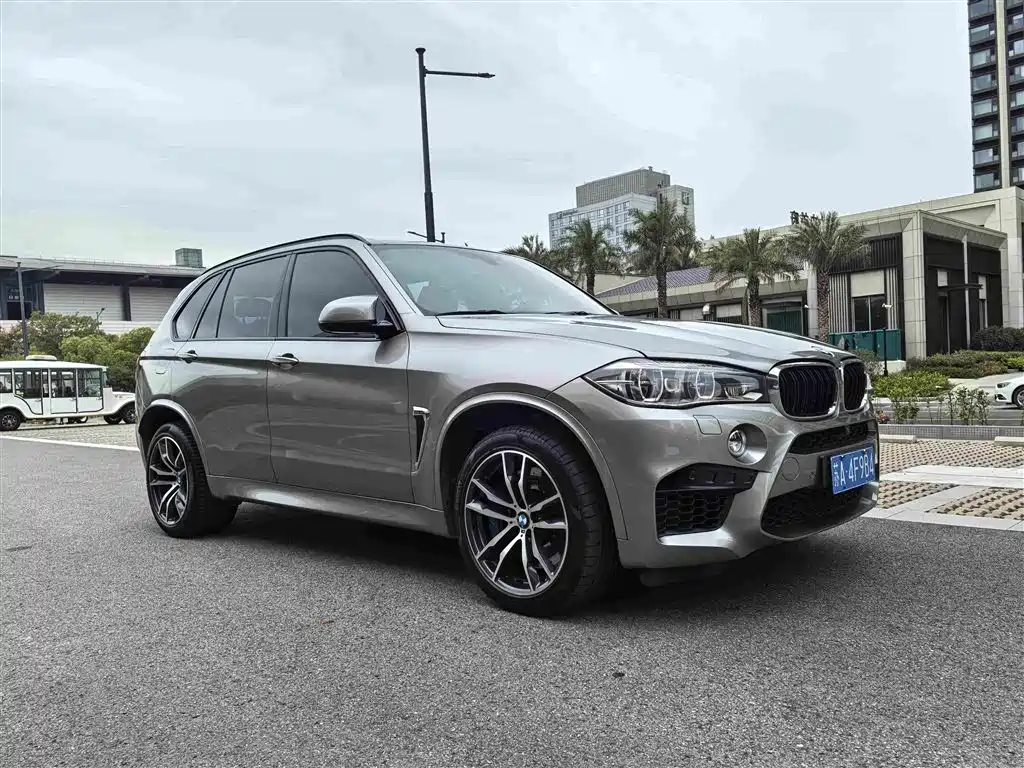 BMW BMW X5 M