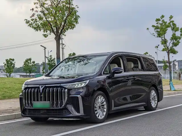 Voyah Auto Voyah Dreamer 2024
