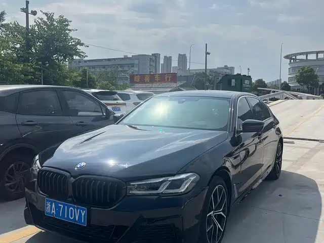 BMW BMW 5 Series 2020