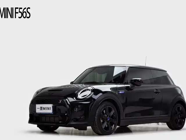 MINI MINI 2024
