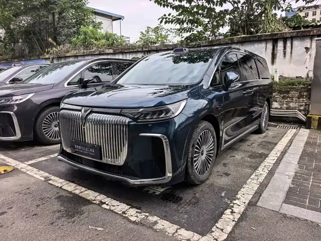 Voyah Auto Voyah Dreamer 2025