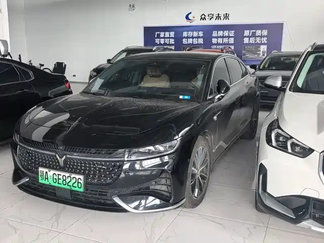 Voyah Auto VOYAH Zhuiguang 2024