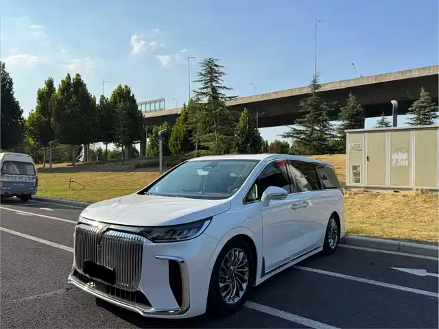 Voyah Auto Voyah Dreamer