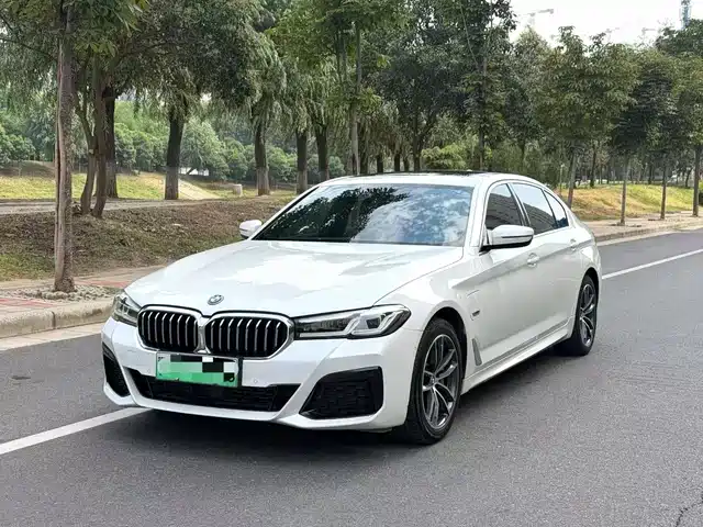 BMW BMW 5 Series New Energy 2022