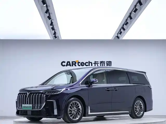 Voyah Auto Voyah Dreamer 2023