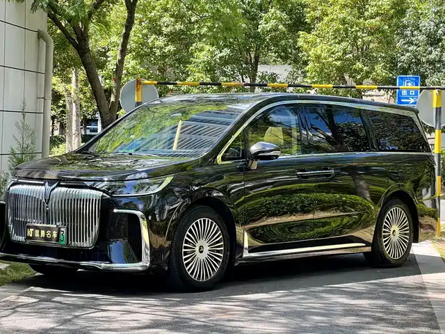 Voyah Auto Voyah Dreamer 2025