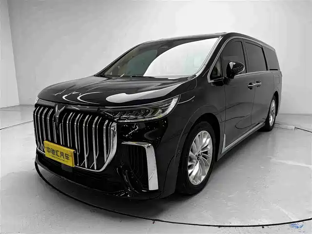 Voyah Auto Voyah Dreamer 2024