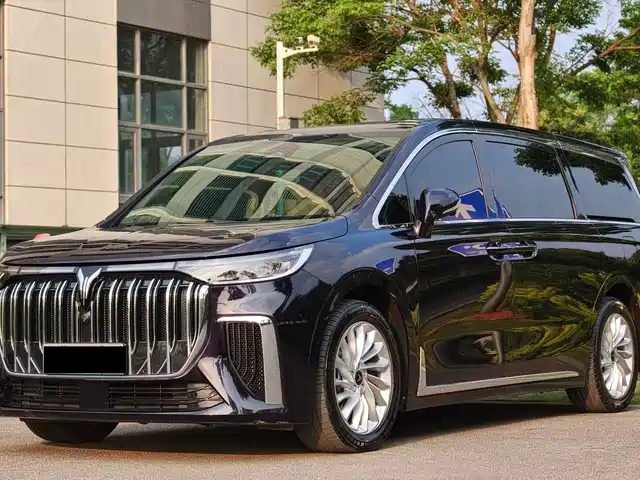 Voyah Auto Voyah Dreamer 2022