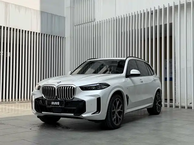 BMW BMW X5 2024