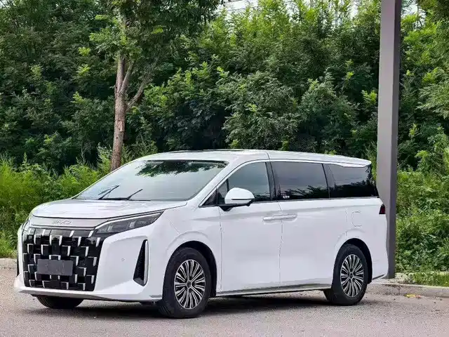 BYD BYD M9