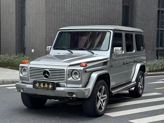 Mercedes-Benz Mercedes-Benz G-Class AMG 2010
