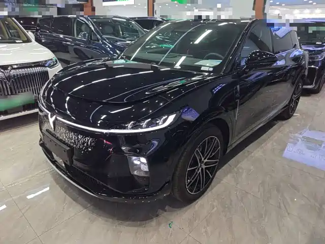 Voyah Auto Voyah Zhiyin 2025