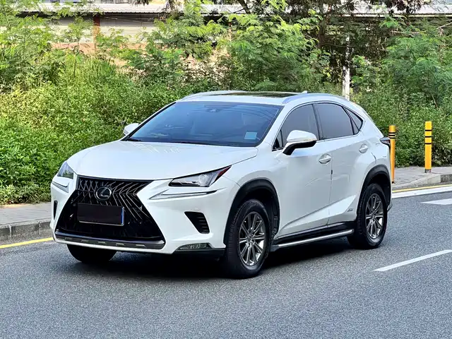 Lexus Lexus NX 2020