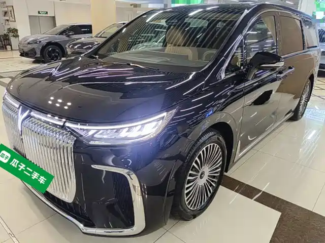 Voyah Auto Voyah Dreamer 2024