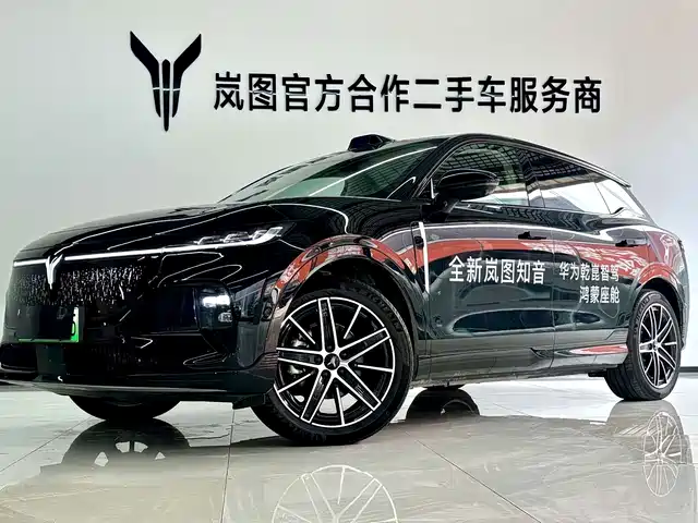 Voyah Auto Voyah Zhiyin 2025