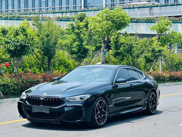 BMW BMW 8 Series 2021