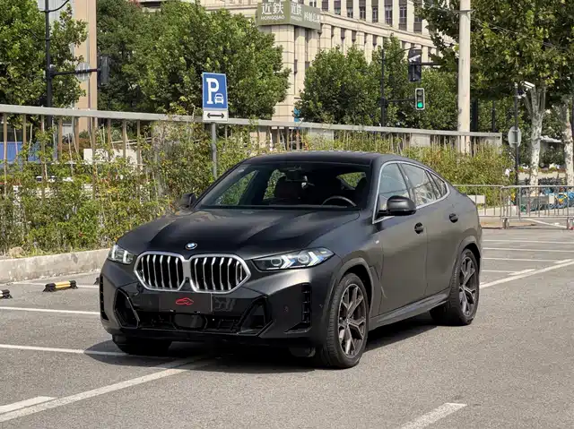 BMW BMW X6