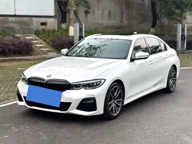 BMW BMW 3 Series 2020