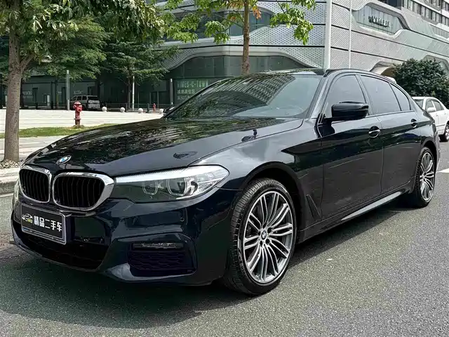 BMW BMW 5 Series 2019