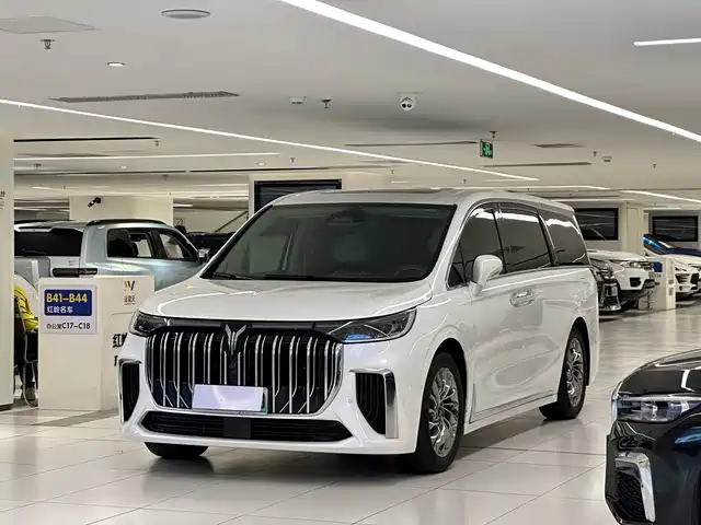 Voyah Auto Voyah Dreamer 2022