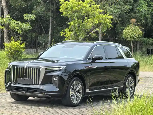 Hongqi Hongqi E-HS9