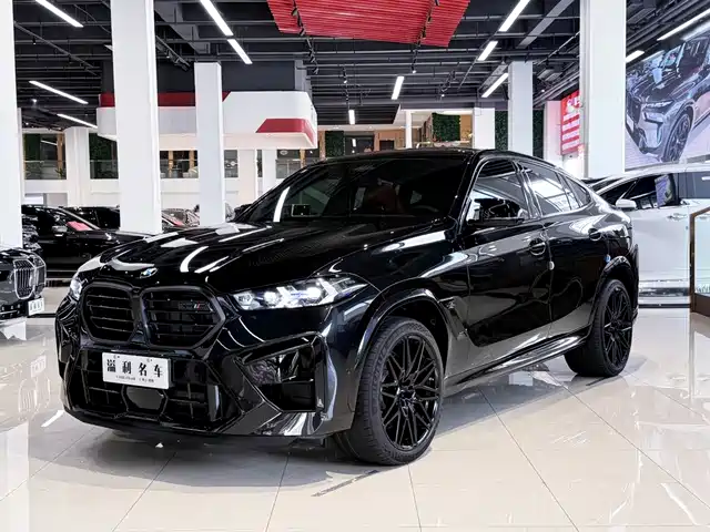 BMW BMW X6 M