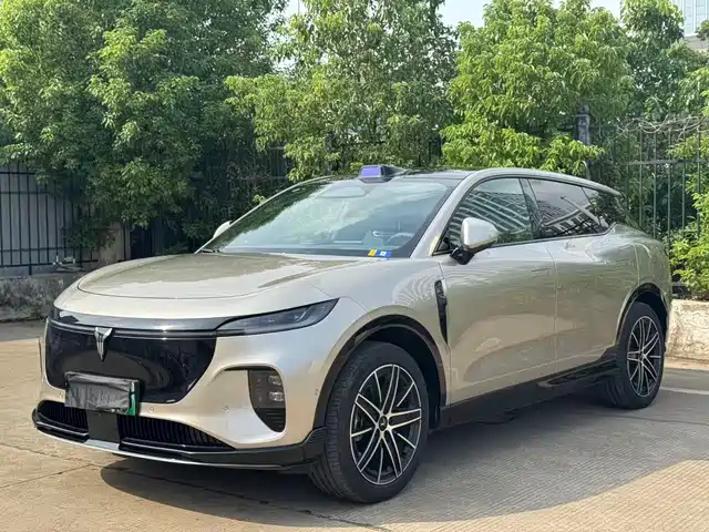 Voyah Auto Voyah Zhiyin