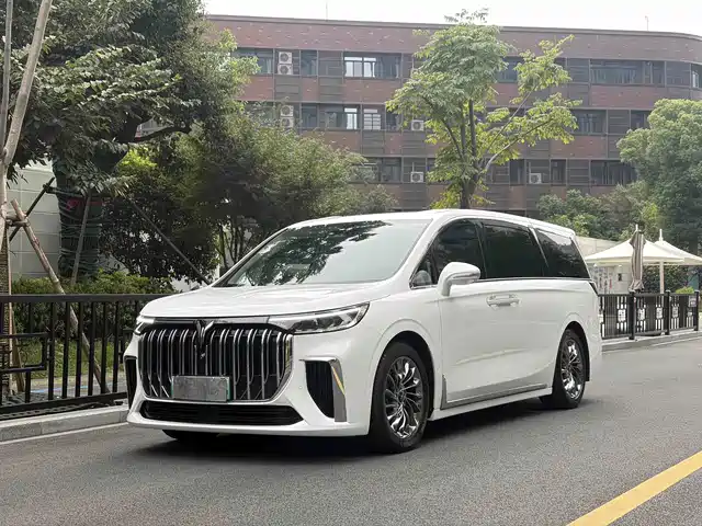 Voyah Auto Voyah Dreamer 2022