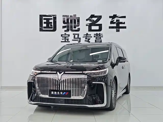 Voyah Auto Voyah Dreamer 2024