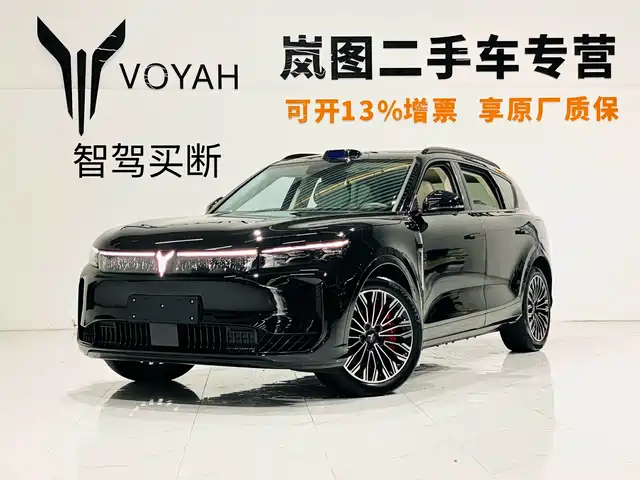 Voyah Auto VOYAH FREE 2025