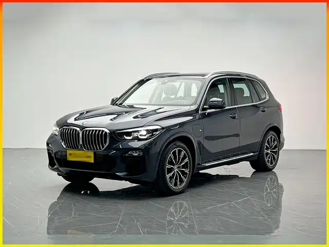 BMW BMW X5 New Energy(Imported)