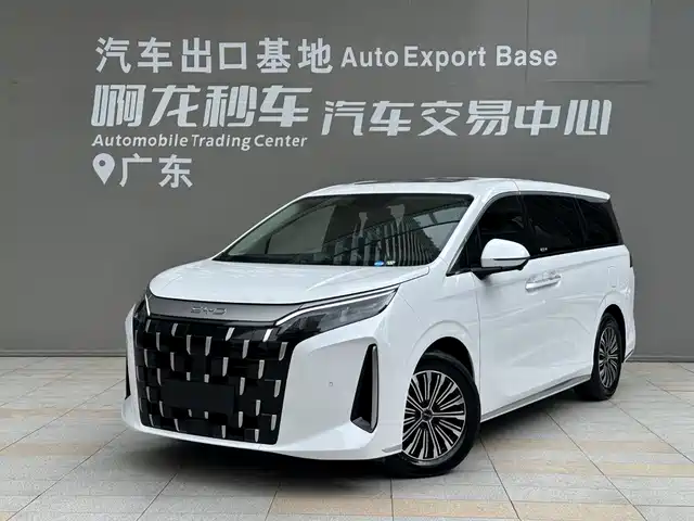 BYD BYD M9 2025