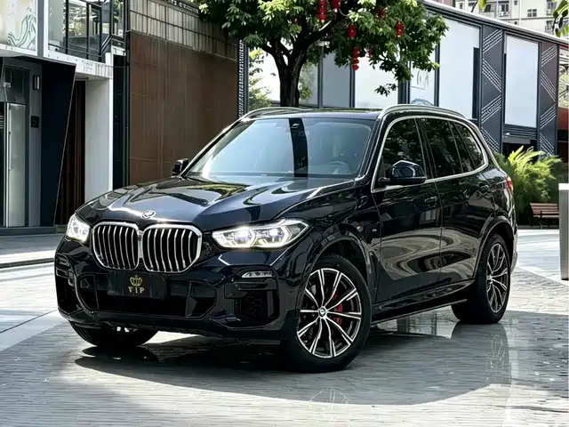 BMW BMW X5 (Import) 2019