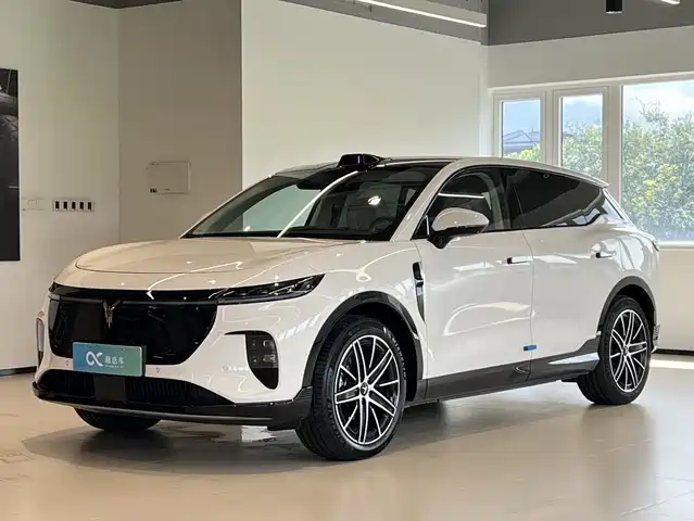 Voyah Auto Voyah Zhiyin