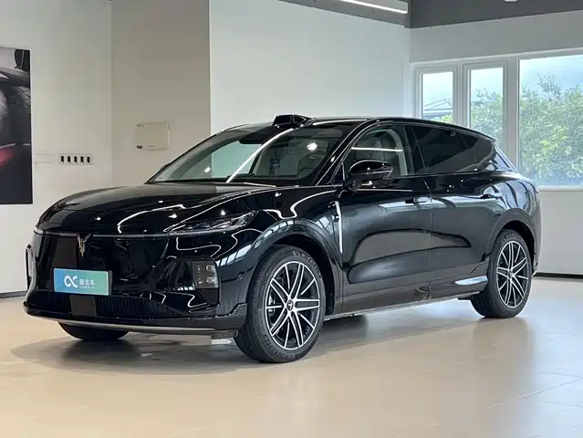 Voyah Auto Voyah Zhiyin 2025