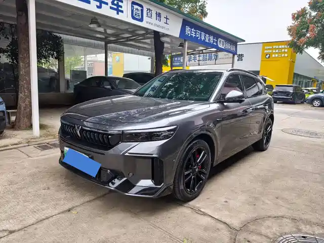 Voyah Auto VOYAH FREE 2025