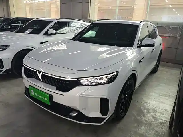 Voyah Auto VOYAH FREE 2025