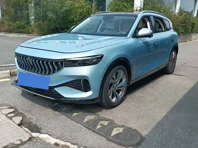 Voyah Auto VOYAH FREE 2021