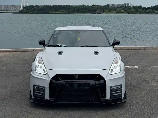 Nissan Nissan GT-R 2010