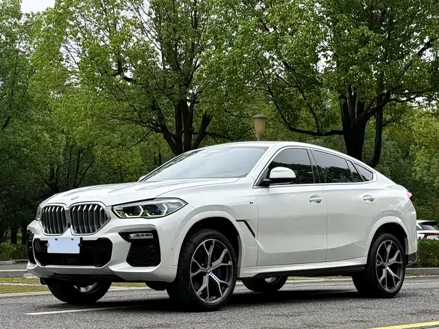 BMW BMW X6 2020