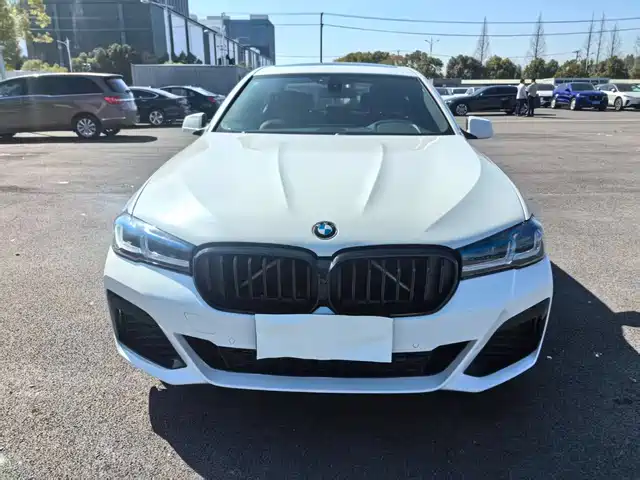 BMW BMW 5 Series 2011