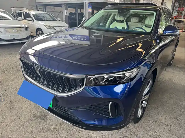 Voyah Auto VOYAH FREE 2021