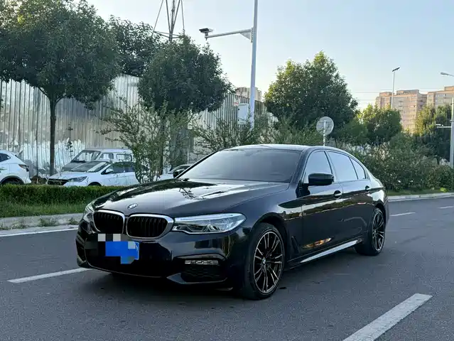 BMW BMW 5 Series 2018