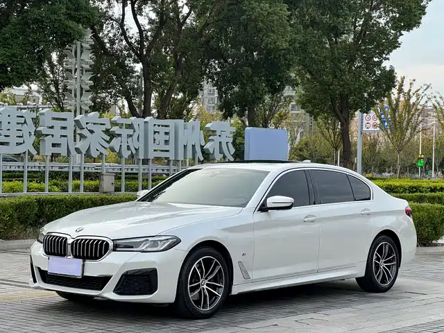 BMW BMW 5 Series 2020