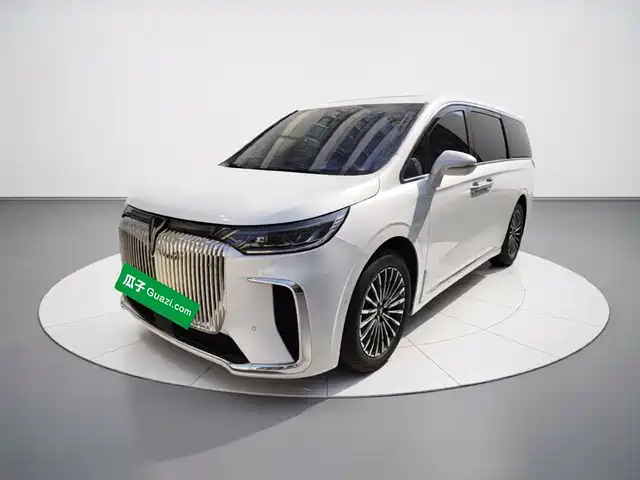 Voyah Auto Voyah Dreamer 2025