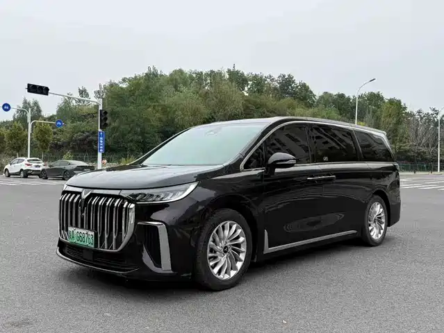 Voyah Auto Voyah Dreamer 2024