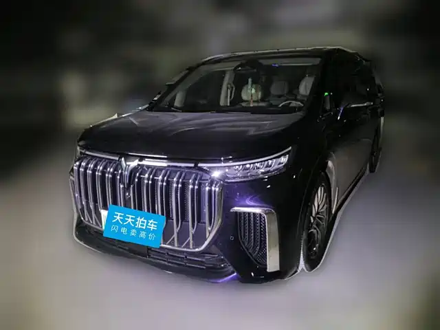Voyah Auto Voyah Dreamer 2023