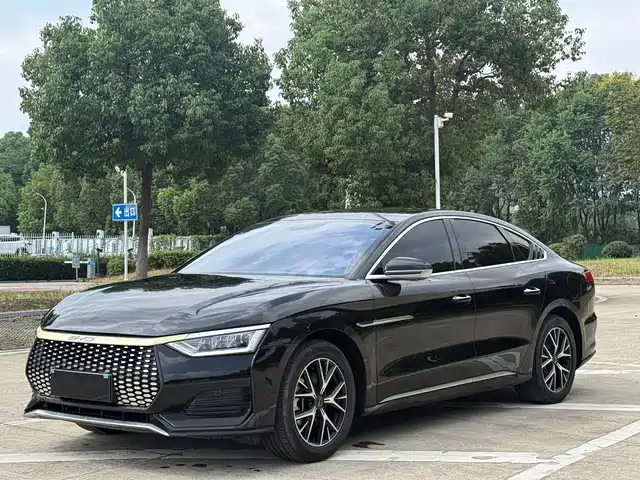 BYD BYD e9