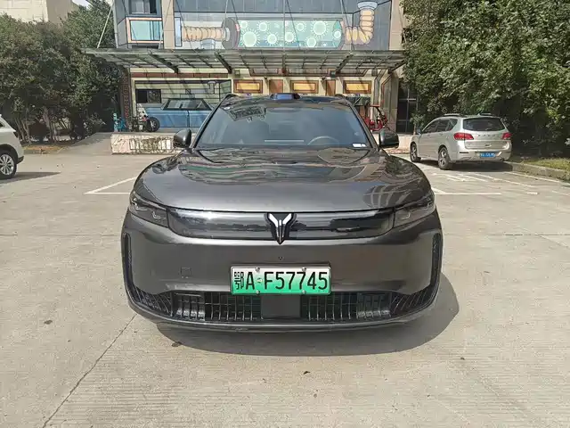 Voyah Auto VOYAH FREE 2025